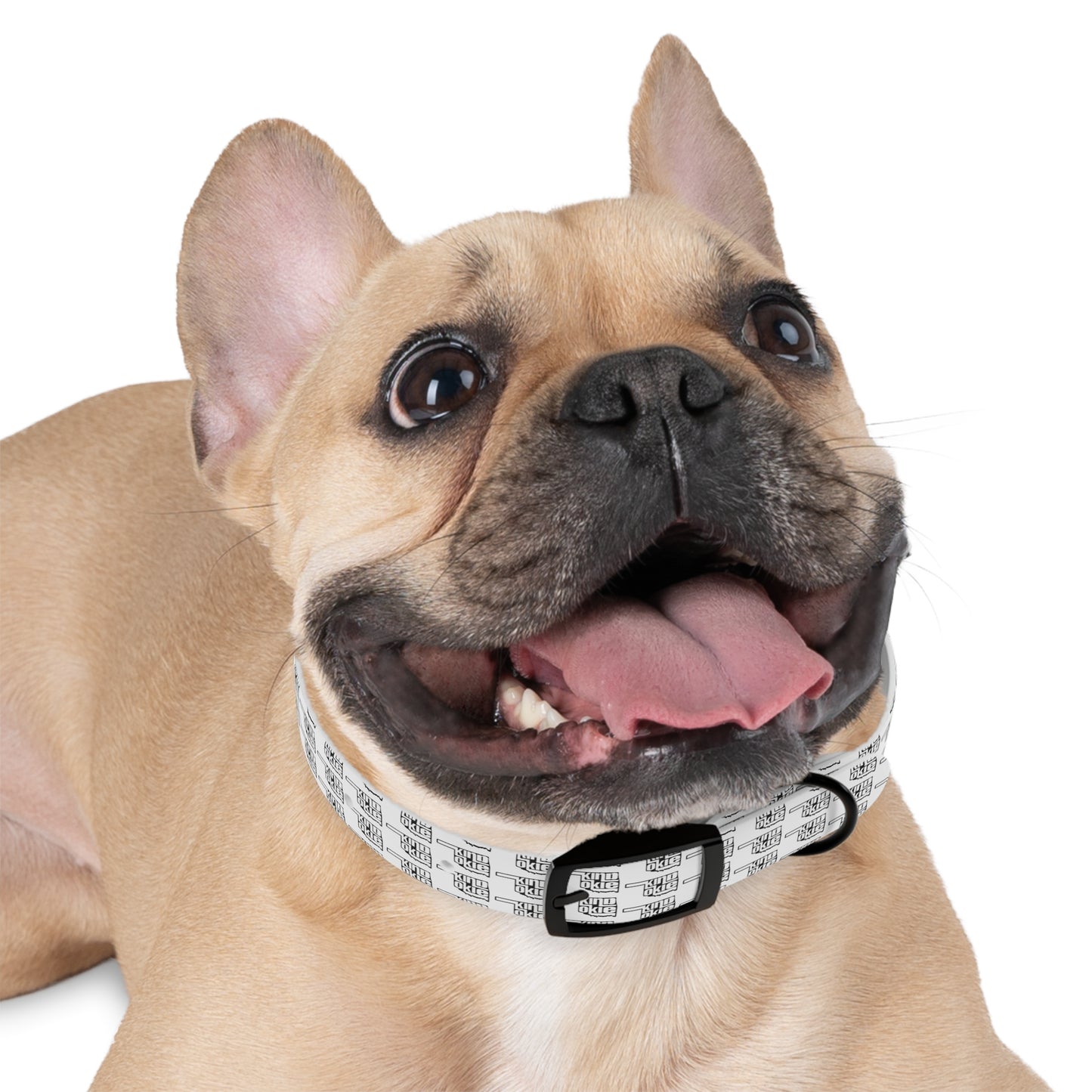 Kind Okies Dog Collar